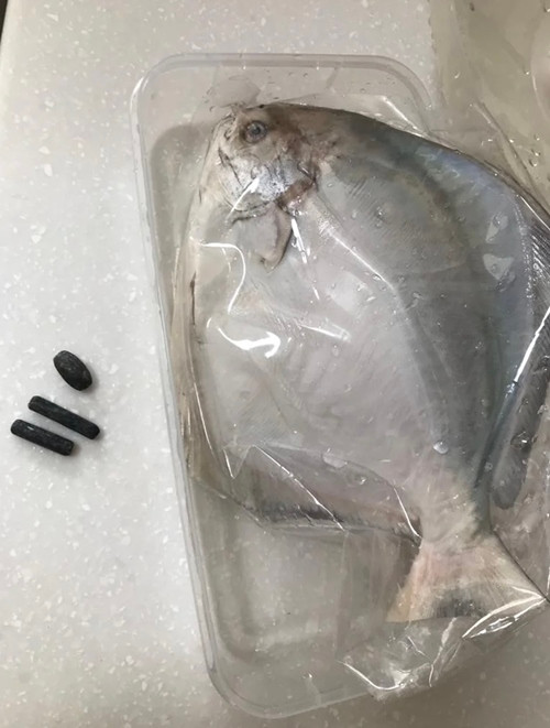 Một con cá khác cũng có những viên kim loại ở trong. Ảnh: Sarpy.