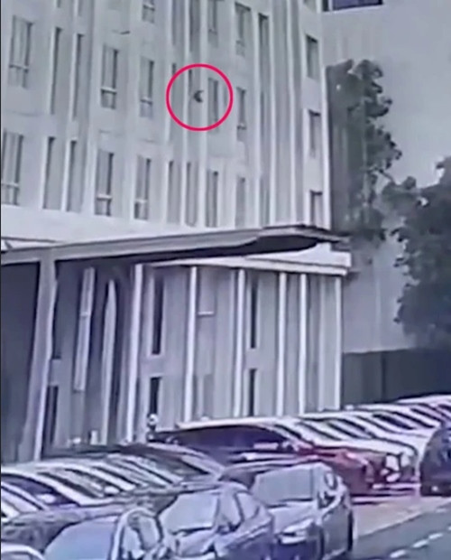 Hình ảnh từ camera quan sát cho thấy chú mèo (khoanh đỏ) rơi từ tầng 6 xuống. Ảnh: ViralPress. Hình ảnh từ camera quan sát cho thấy chú mèo (khoanh đỏ) rơi từ tầng 6 xuống. Ảnh: ViralPress.
