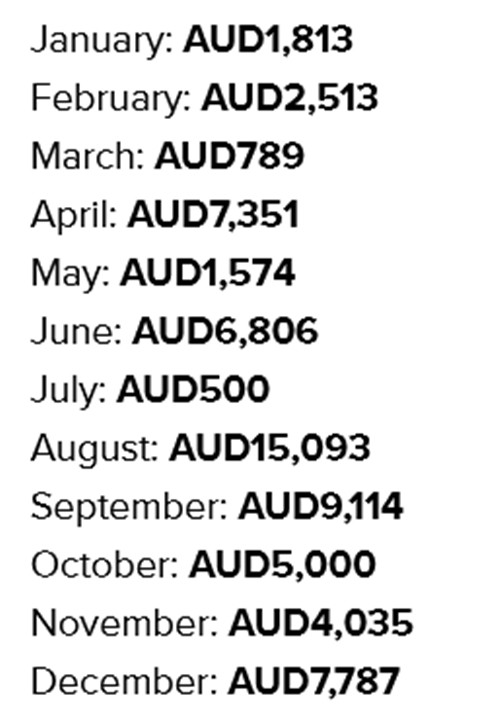 Bảng thu nhập hằng tháng của Princess trong năm 2022. Ảnh: Nicole Wade. Bảng thu nhập hằng tháng của Princess trong năm 2022. Ảnh: Nicole Wade.