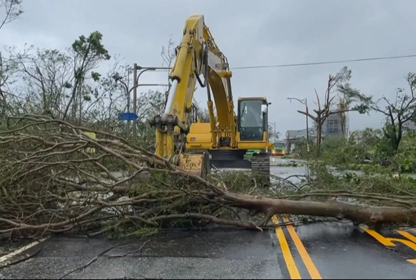Công nhân đang dọn cây đổ sau bão Haikui ở Đài Loan (Trung Quốc). Ảnh: Sean Chang/ AFP. Công nhân đang dọn cây đổ sau bão Haikui ở Đài Loan (Trung Quốc). Ảnh: Sean Chang/ AFP.