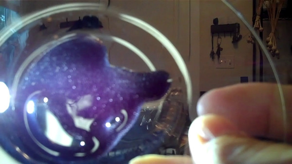 Mật ong có màu tím như mực. Ảnh: Twitter. Mật ong có màu tím như mực. Ảnh: Twitter.