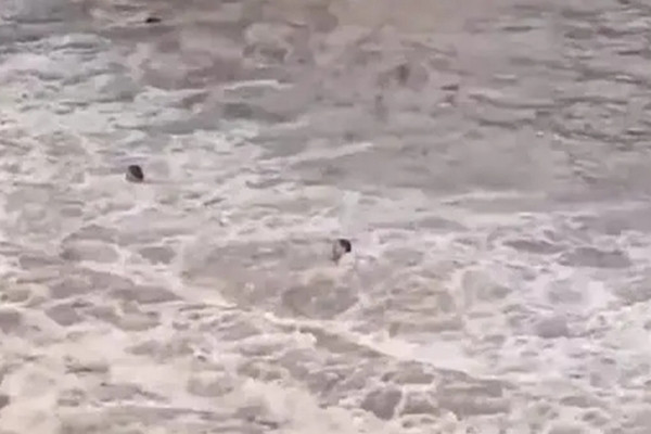 Nước lụt dâng lên rất nhanh, cuốn trôi cả nhóm du khách đang chụp ảnh. Ảnh: CCTV.