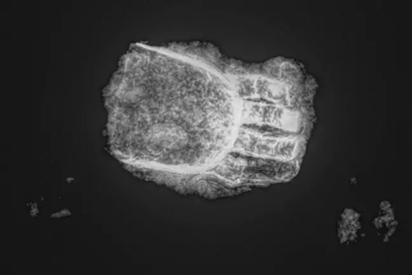 Bàn tay giả được làm từ hàng trăm năm trước. Ảnh: Bavarian State Office for Monument Protection.