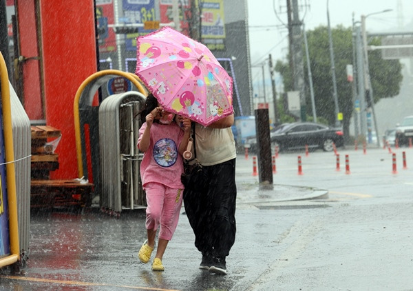 Hai người cố che mưa khi đang đi trên đường ở tỉnh Jeollanam vào ngày 10/8. Ảnh: Yonhap. Hai người cố che mưa khi đang đi trên đường ở tỉnh Jeollanam vào ngày 10/8. Ảnh: Yonhap.