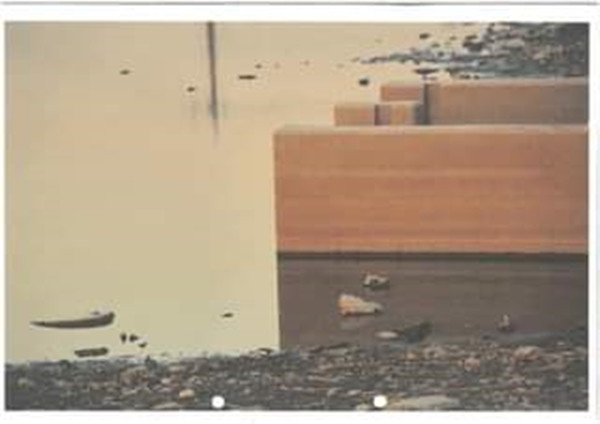 Hình ảnh lớn hơn mà không có con diệc để các bạn hình dung dễ hơn. Ảnh: Facebook.