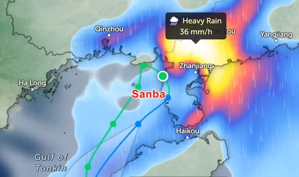 Nhiều khu vực ở tỉnh Quảng Đông mưa to vào ngày 20/10 do ảnh hưởng của bão Sanba (màu vàng là mưa to, trắng là mưa rất to). Ảnh: Zoom Earth, OpenStreetMap, JTWC.