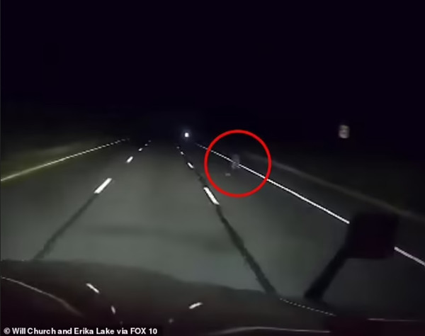 Ban đầu, anh William tưởng đây là một người đang đi bộ. Ảnh: William Church via Fox 10. Ban đầu, anh William tưởng đây là một người đang đi bộ. Ảnh: William Church via Fox 10.