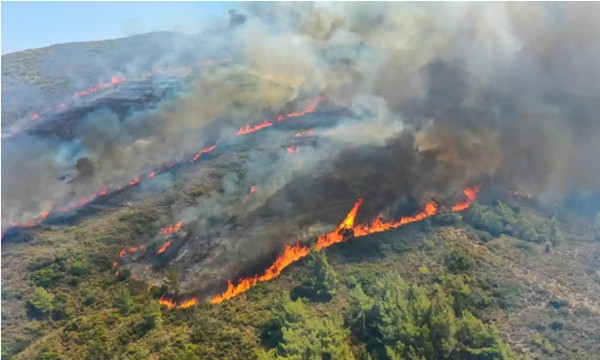 Những mức tăng nhiệt độ khác thường cũng gây ra nhiều trận cháy rừng hơn. Ảnh: Dia Images/ Getty Images. Những mức tăng nhiệt độ khác thường cũng gây ra nhiều trận cháy rừng hơn. Ảnh: Dia Images/ Getty Images.