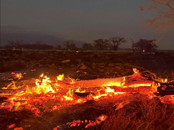Lửa cháy ở Hawaii ngày 9/8, hàng ngàn người vội vã chạy khỏi nhà. Ảnh: Ty O'Neil/ AP.