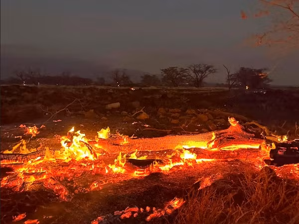 Lửa cháy ở Hawaii ngày 9/8, hàng ngàn người vội vã chạy khỏi nhà. Ảnh: Ty O'Neil/ AP.