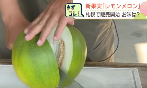 Lúc chưa chín hẳn, vỏ Dưa Chanh xanh như vỏ chanh. Ảnh: HBC News.