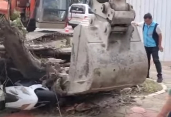 Máy xúc lớn được đưa đến để dọn dẹp hiện trường nơi cây đa bị đổ. Ảnh: TVBS. Máy xúc lớn được đưa đến để dọn dẹp hiện trường nơi cây đa bị đổ. Ảnh: TVBS.