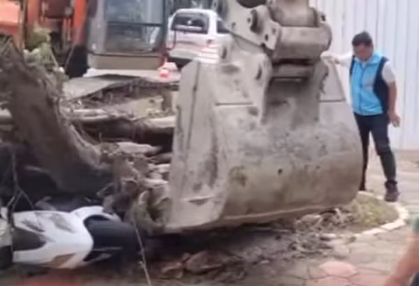 Máy xúc lớn được đưa đến để dọn dẹp hiện trường nơi cây đa bị đổ. Ảnh: TVBS.