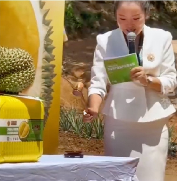 Quả sầu riêng khi được đem ra đấu giá. Ảnh: Weibo. Quả sầu riêng khi được đem ra đấu giá. Ảnh: Weibo.