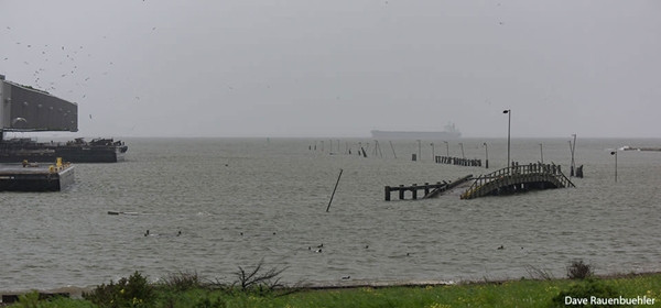 Thủy triều Vua ở San Francisco (California, Mỹ) vào tháng 2/2016. Ảnh: Dave Rauenbuehler.