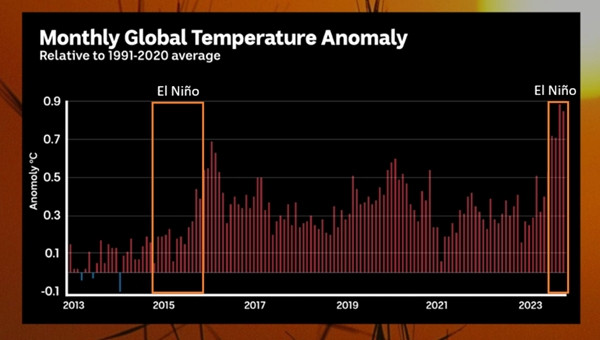 Biểu đồ cho thấy nhiệt độ toàn cầu tăng vọt trong và sau El Nino, ví dụ năm 2016. Có thể thấy nhiệt độ cuối năm 2023 sang năm 2024 cũng đang đi theo xu hướng này. Ảnh: Copernicus data, Tom Saunders. Biểu đồ cho thấy nhiệt độ toàn cầu tăng vọt trong và sau El Nino, ví dụ năm 2016. Có thể thấy nhiệt độ cuối năm 2023 sang năm 2024 cũng đang đi theo xu hướng này. Ảnh: Copernicus data, Tom Saunders.