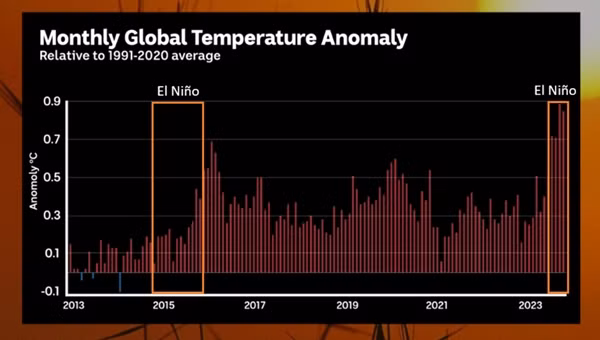 Biểu đồ cho thấy nhiệt độ toàn cầu tăng vọt trong và sau El Nino, ví dụ năm 2016. Có thể thấy nhiệt độ cuối năm 2023 sang năm 2024 cũng đang đi theo xu hướng này. Ảnh: Copernicus data, Tom Saunders.