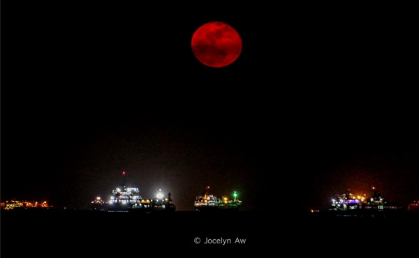 Mặt Trăng được quan sát ở Singapore tối 1/9 dù màu đỏ nhưng cũng chỉ là Mặt Trăng bình thường mà thôi. Ảnh: Jocelyn Aw.