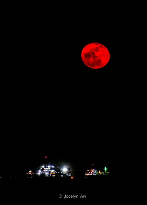 Mặt Trăng đỏ rực được nhìn thấy ở Singapore tối 1/9. Ảnh: Jocelyn Aw.