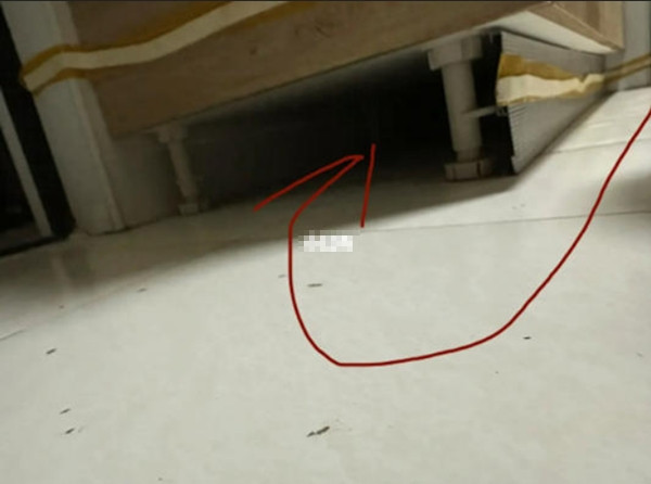 Hóa ra robot "trú ẩn" dưới gầm một tủ bếp. Ảnh: XHS.