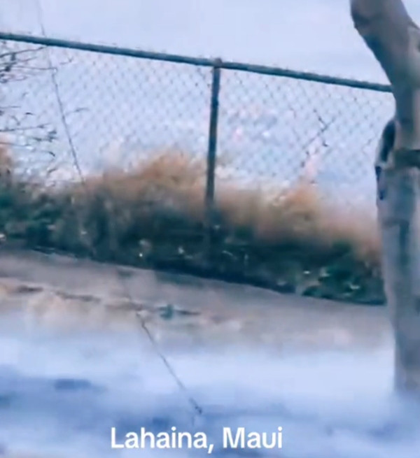 Đường dây điện bị đứt, rơi xuống thảm cỏ khô bên dưới. Ảnh: Shane Treu. Đường dây điện bị đứt, rơi xuống thảm cỏ khô bên dưới. Ảnh: Shane Treu.