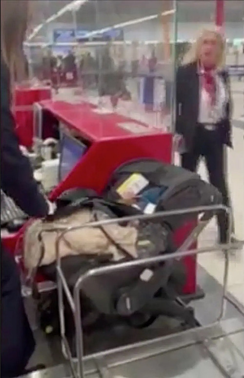 Nhân viên của hãng hàng không cũng sốc đến mức ban đầu không biết phải làm thế nào. Ảnh: Channel 12. Nhân viên của hãng hàng không cũng sốc đến mức ban đầu không biết phải làm thế nào. Ảnh: Channel 12.