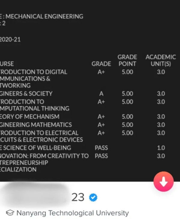 Bảng điểm không còn gì để chê mà nam sinh viên Singapore đăng lên Tinder. Ảnh: Twitter.