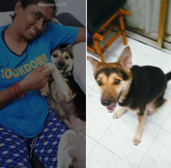 Bairava được cô Vaani nuôi từ khi còn nhỏ. Ảnh: Vaani/ SAYS. Bairava được cô Vaani nuôi từ khi còn nhỏ. Ảnh: Vaani/ SAYS.