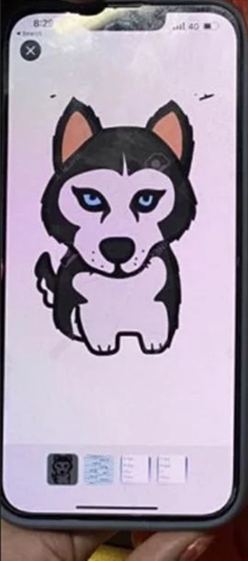 Hình gốc. Ảnh: Facebook.