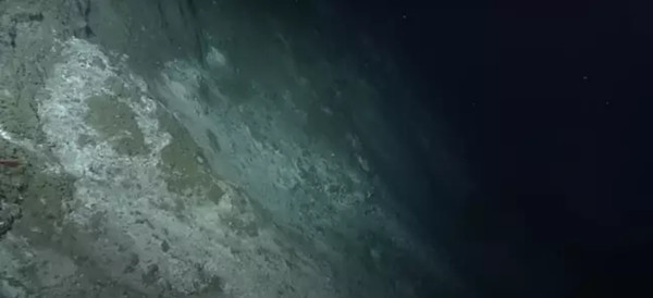 "Điểm rò rỉ" là một phần của Đới hút chìm Cascadia. Ảnh: ĐH Washington.