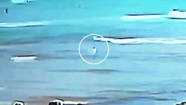 Cậu bé lúc đang chơi ở vùng nước gần bờ biển. Ảnh: 9News.