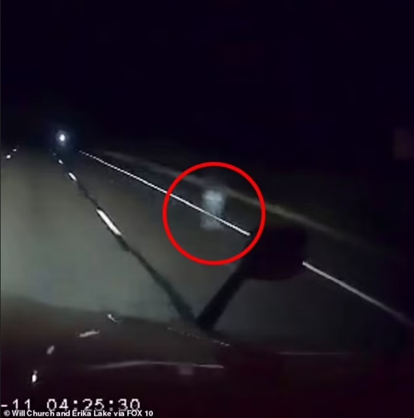 Cận cảnh. Ảnh: William Church. Cận cảnh. Ảnh: William Church.