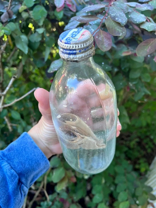 Cái chai đựng bức thư đã "sống sót" qua sóng gió (đúng theo nghĩa đen) suốt gần 40 năm. Ảnh: Facebook.