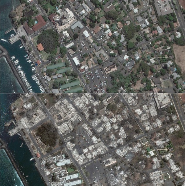 Quanh Công viên Banyan Court - ảnh vệ tinh chụp ngày 25/6 (trên) và 9/8 (dưới). Ảnh: Maxar via AFP/ Getty Images.