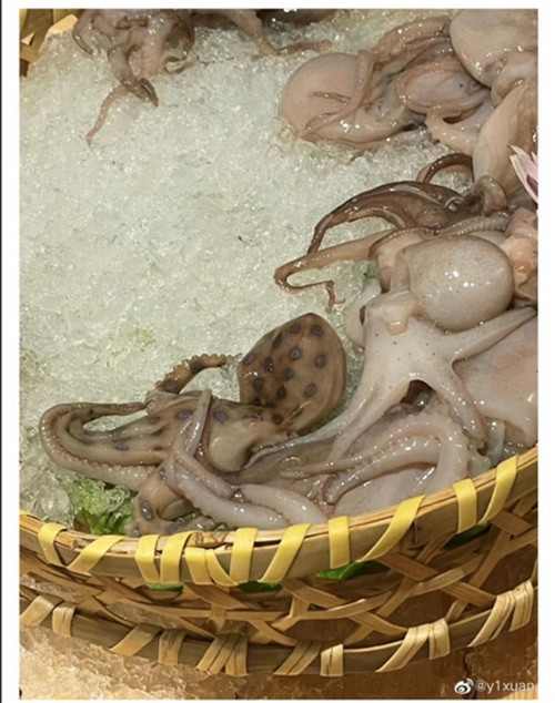 Hình ảnh mà thực khách đăng lên mạng để hỏi. Ảnh: Jfdaily.