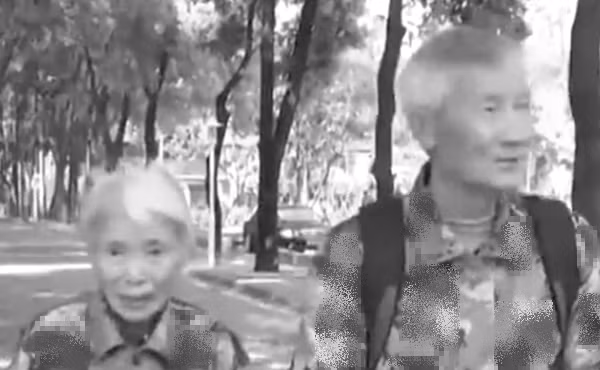 Ông bà cụ đi quyên góp số tiền lớn. Ảnh: Weibo.