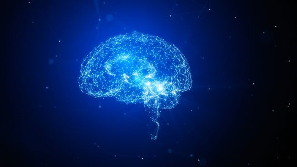 Thông tin trong não cũng không thể tồn tại sau khi con người không còn sống nữa. Ảnh minh họa: Getty/ iStock. Thông tin trong não cũng không thể tồn tại sau khi con người không còn sống nữa. Ảnh minh họa: Getty/ iStock.