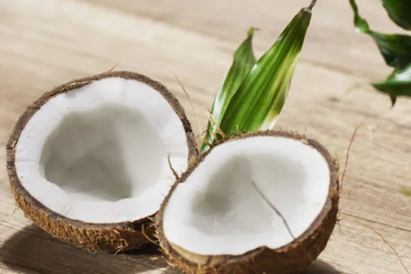 Có người đùa rằng quả dừa khi bị đập vỡ ra có thể có các cạnh sắc nên bị coi là vũ khí. Ảnh minh họa: Canva. Có người đùa rằng quả dừa khi bị đập vỡ ra có thể có các cạnh sắc nên bị coi là vũ khí. Ảnh minh họa: Canva.