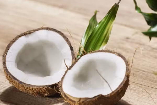 Có người đùa rằng quả dừa khi bị đập vỡ ra có thể có các cạnh sắc nên bị coi là vũ khí. Ảnh minh họa: Canva. Có người đùa rằng quả dừa khi bị đập vỡ ra có thể có các cạnh sắc nên bị coi là vũ khí. Ảnh minh họa: Canva.