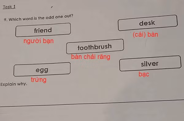 Bài tập của học sinh lớp 1. Ảnh: FAMILY LOWDOWN.