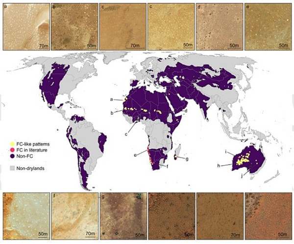 Bản đồ cho thấy những địa điểm mới được phát hiện cũng có những "vòng tròn tiên" (là những điểm màu vàng). Ảnh: Guirado et al., PNAS, 2023.