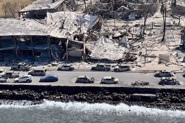 Khung cảnh tan hoang sau cháy rừng. Ảnh: Sở Đất đai và Tài nguyên thiên nhiên Hawaii/ Handout via Reuters. Khung cảnh tan hoang sau cháy rừng. Ảnh: Sở Đất đai và Tài nguyên thiên nhiên Hawaii/ Handout via Reuters.