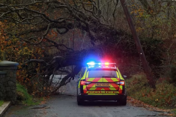 Cây đổ do bão Debi. Ảnh: Pacemaker.