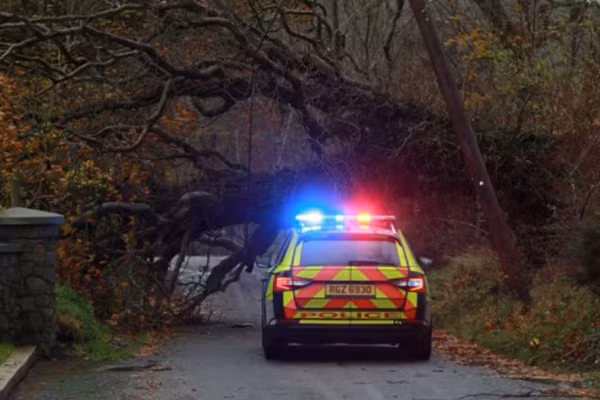 Cây đổ do bão Debi. Ảnh: Pacemaker.