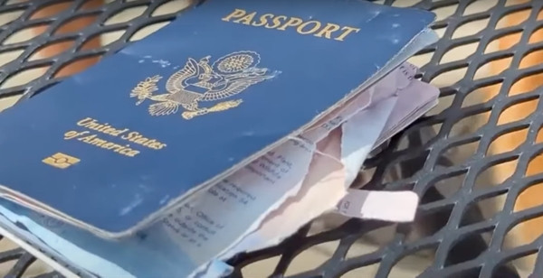 "Tác phẩm" của "báo thủ" Chickie. Ảnh: WCVB. "Tác phẩm" của "báo thủ" Chickie. Ảnh: WCVB.