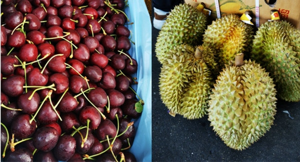 Sầu riêng "qua mặt" cherry để trở thành "biểu tượng sang xịn" ở Trung Quốc. Ảnh: FreshPlaza. Sầu riêng "qua mặt" cherry để trở thành "biểu tượng sang xịn" ở Trung Quốc. Ảnh: FreshPlaza.