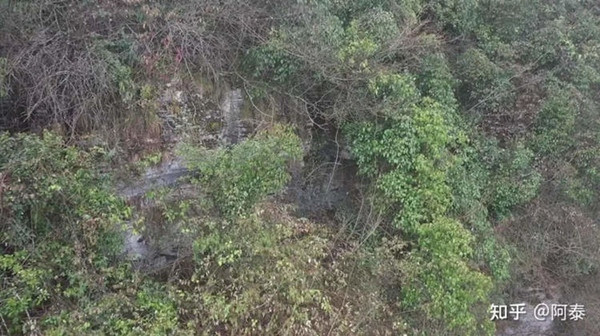 Đường dẫn đến cái hang. Ảnh: YouTube.