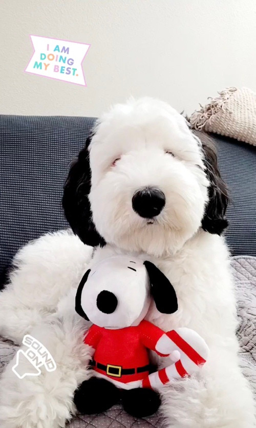 Như sinh đôi. Ảnh: Instagram. Như sinh đôi. Ảnh: Instagram.