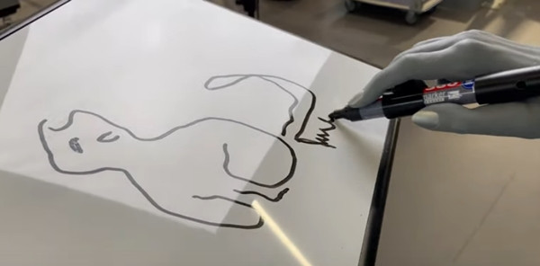 Con mèo mà Ameca vẽ. Ảnh: Engineered Arts.