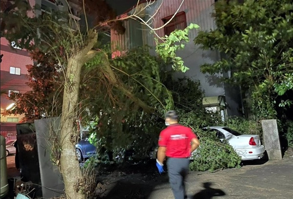 Cây cối bị đổ vào tối 4/10 do bão Koinu. Ảnh: Focus Taiwan. Cây cối bị đổ vào tối 4/10 do bão Koinu. Ảnh: Focus Taiwan.